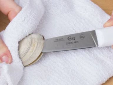 Clam Knife