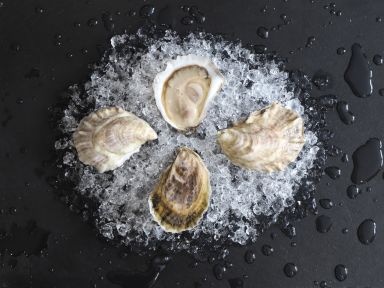 Swell Shore Breaks (Hampton, NH)