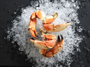 Triple Scored Local Jonah Crab Claws (1 Dozen)