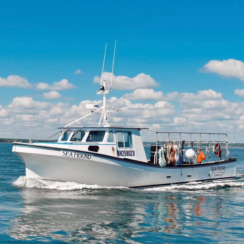 swelloysterco.com: Live Twin Lobsters (2 x 1.25lb, NH Landed)